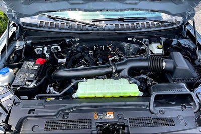 2026 Ford Expedition Active