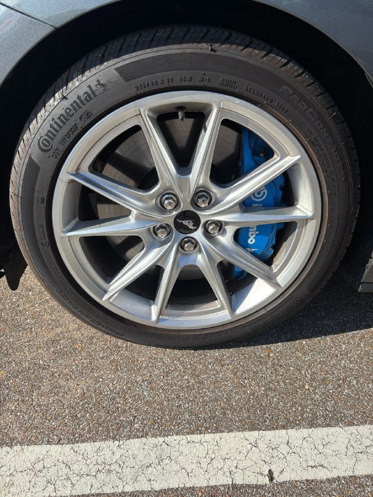 2024 Ford Mustang GT Premium