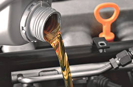 Oil & Filter Change